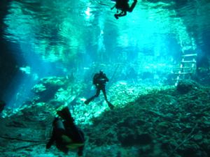 Taken with Canon S30 without Stobe, in Grand Cenotes, Mexico by Rejean Roy 